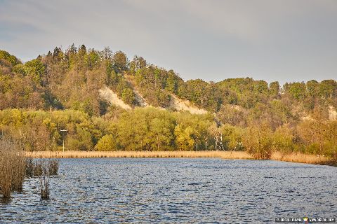 Gemeinde Marktl Landkreis Altötting Altwasser Naturschutzgebiet (Dirschl Johann) Deutschland AÖ